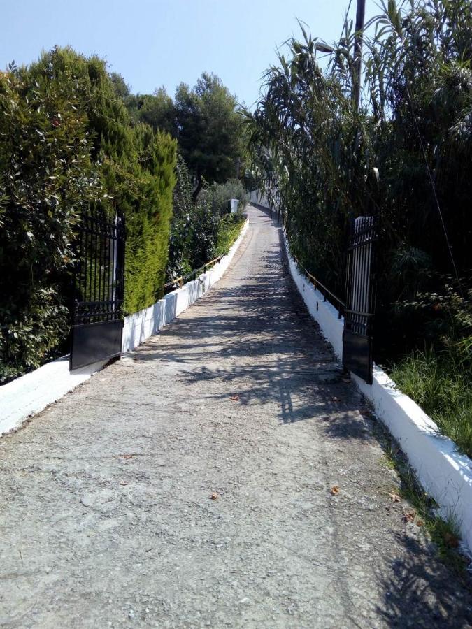 Villa Xanthippi 아기아 파라스케비 외부 사진