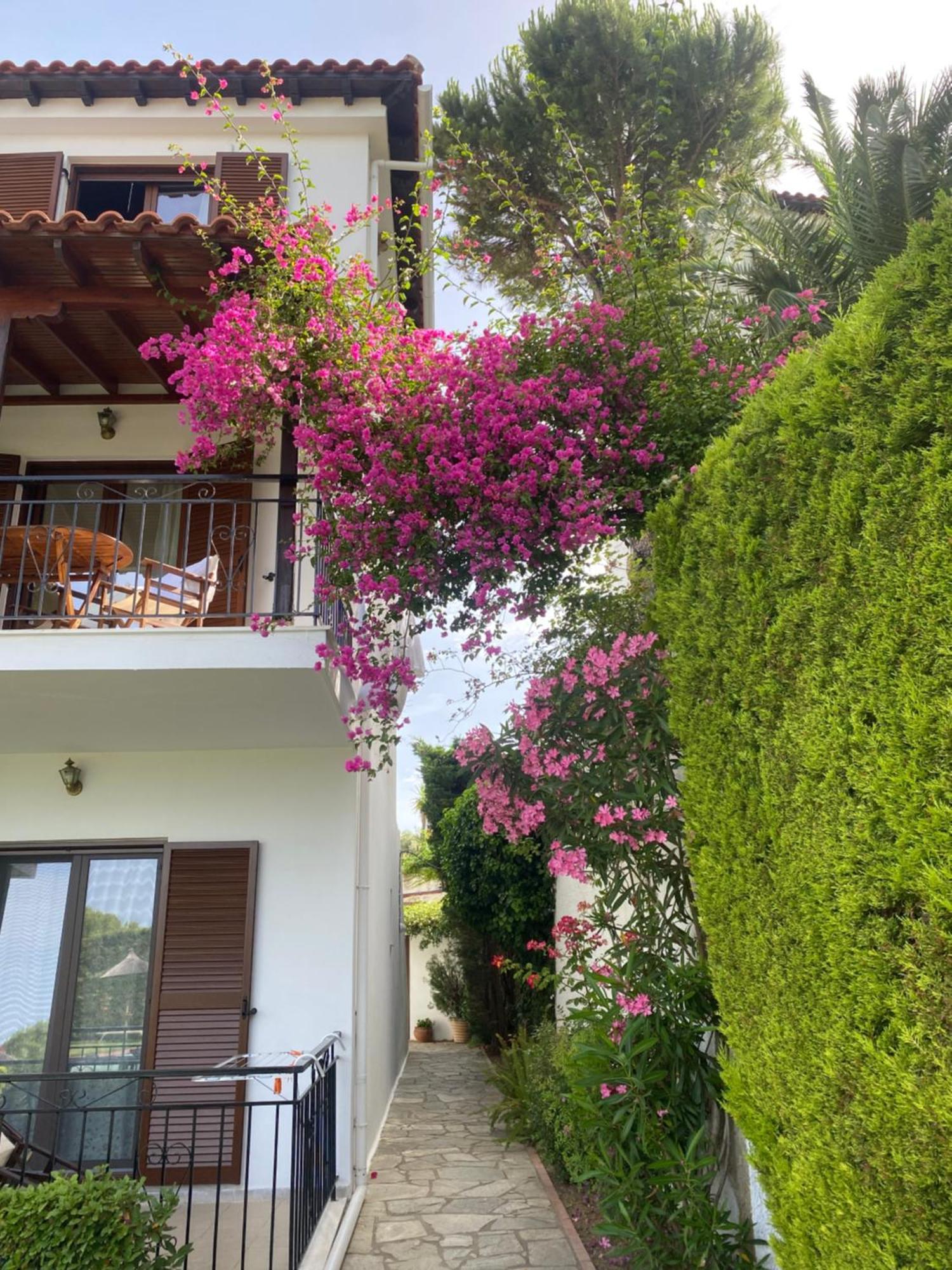 Villa Xanthippi 아기아 파라스케비 외부 사진